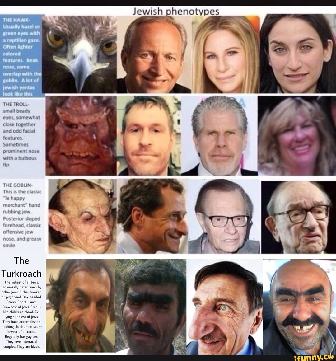 81259977addb57cd3e48d080fca81154fed789421311f26e60de6387cc64a500_1.jpg