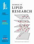 www.sciencedirect.com