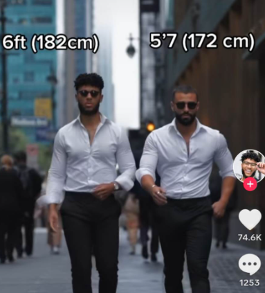 3417476_1684383100330.png
