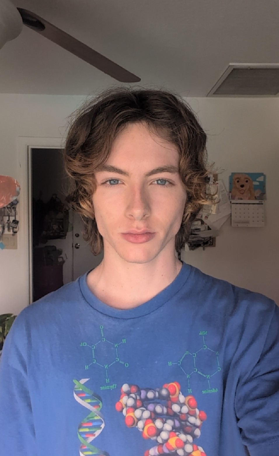 6465594_1000009866.jpg