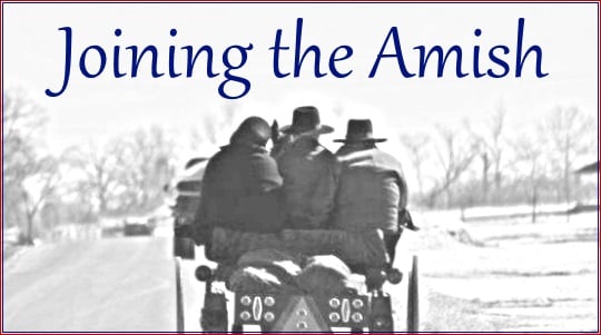 amishamerica.com