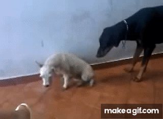 hl_dPH.gif