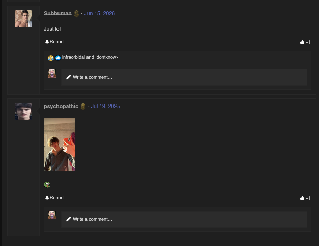 Shmergcel-Looksmax-org-Mens-Self-Improvement-Aesthetics.png
