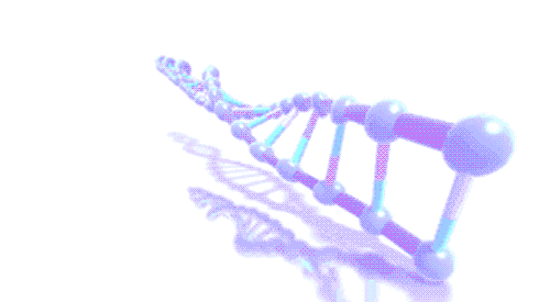 dna-rna-chromosomes-double-helix-rotating-animated-gif-18.gif