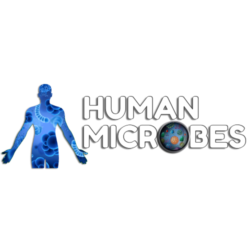 www.humanmicrobes.org