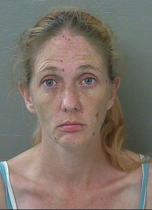 Severe Meth Addict' Charged With 'Viciously Beating' Small Dog :  NorthEscambia.com