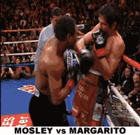 Shane-Mosley-destroys-Margarito.gif