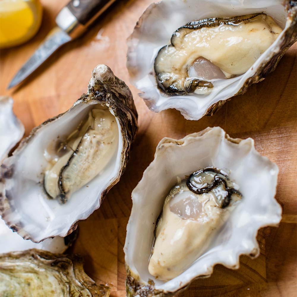 achill-oysters-open.jpg