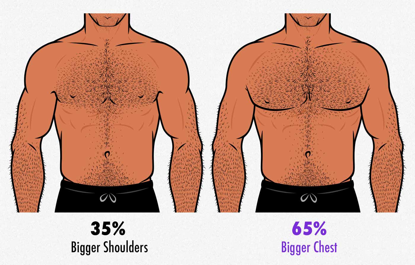 male-chest-shoulder-proportions-most-attractive-to-women.jpg