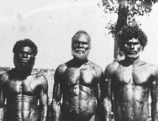 Image result for ripped aboriginal