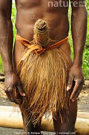 Stock photo of Traditional outfit of Melanesian man, Tanna Island ...
