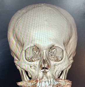 exploreplasticsurgery.com