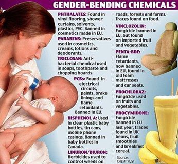 #wcubed #foodstoavoid #hormonedisruptors | Gender, Natural health, In cosmetics
