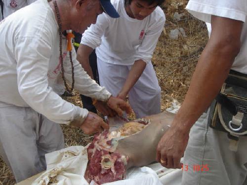 Thai 'Cannibalism' Photographs | Snopes.com