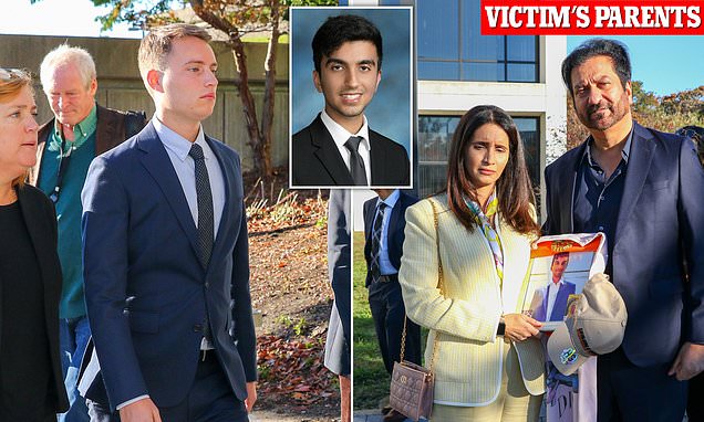 Hamptons hit-and-run driver, 20, is sentenced to 90 days in prison after mowing down NYU