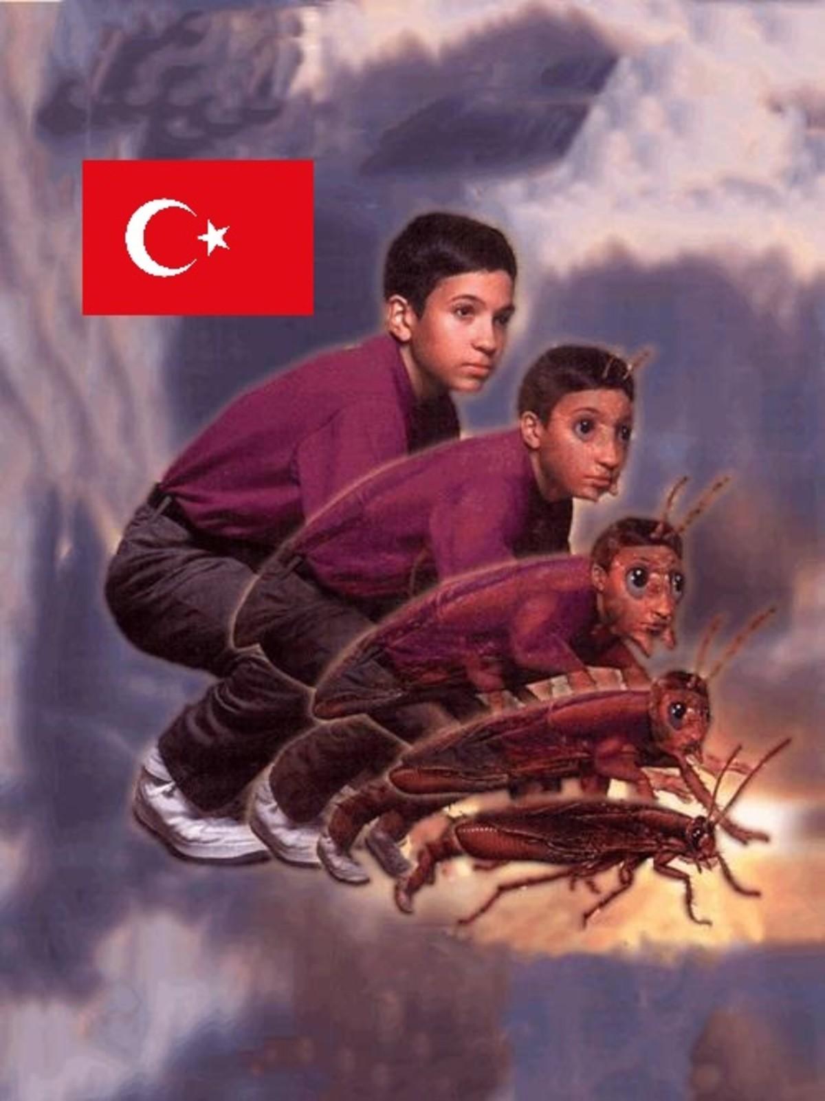 Turkroach Evolution | Balkan Memes | Know Your Meme