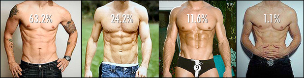 2807537_what-body-fat-percentage-do-women-find-most-attractive-abs-too-lean.jpg