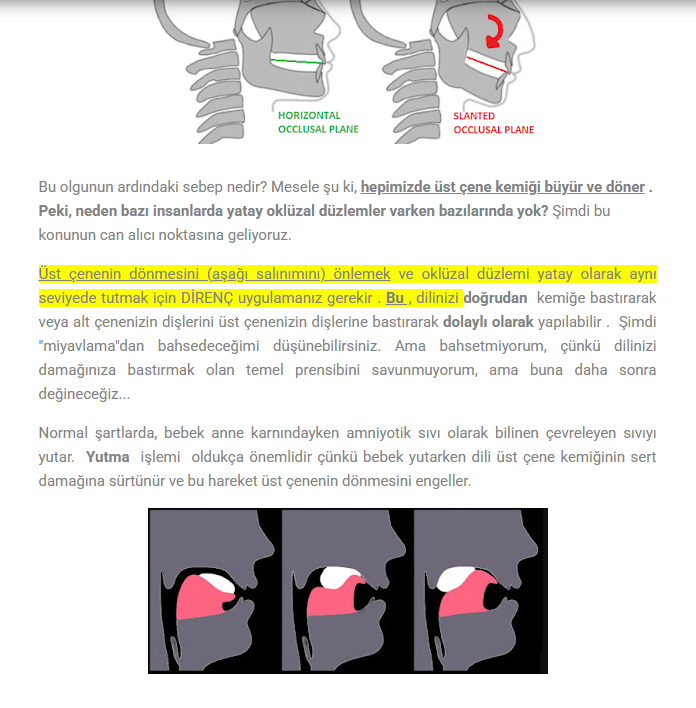 1752507530306 1752507530306