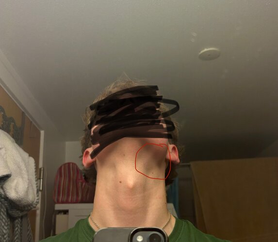 IMG_4516.jpeg IMG_4516.jpeg