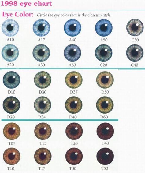 k | Eye color chart, Eye color chart genetics, Eye color facts