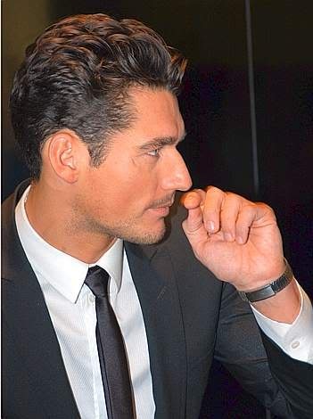 09c8793c699c0e547a6a0a46c22b8e8f--david-james-gandy-james-darcy.jpg