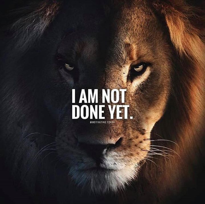 I am not done yet. | Warrior quotes, Lion quotes, Inspiring quotes about  life