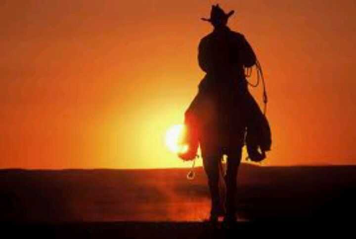 Riding off Into the sunset | Cowboy pictures, Western riding, Photo