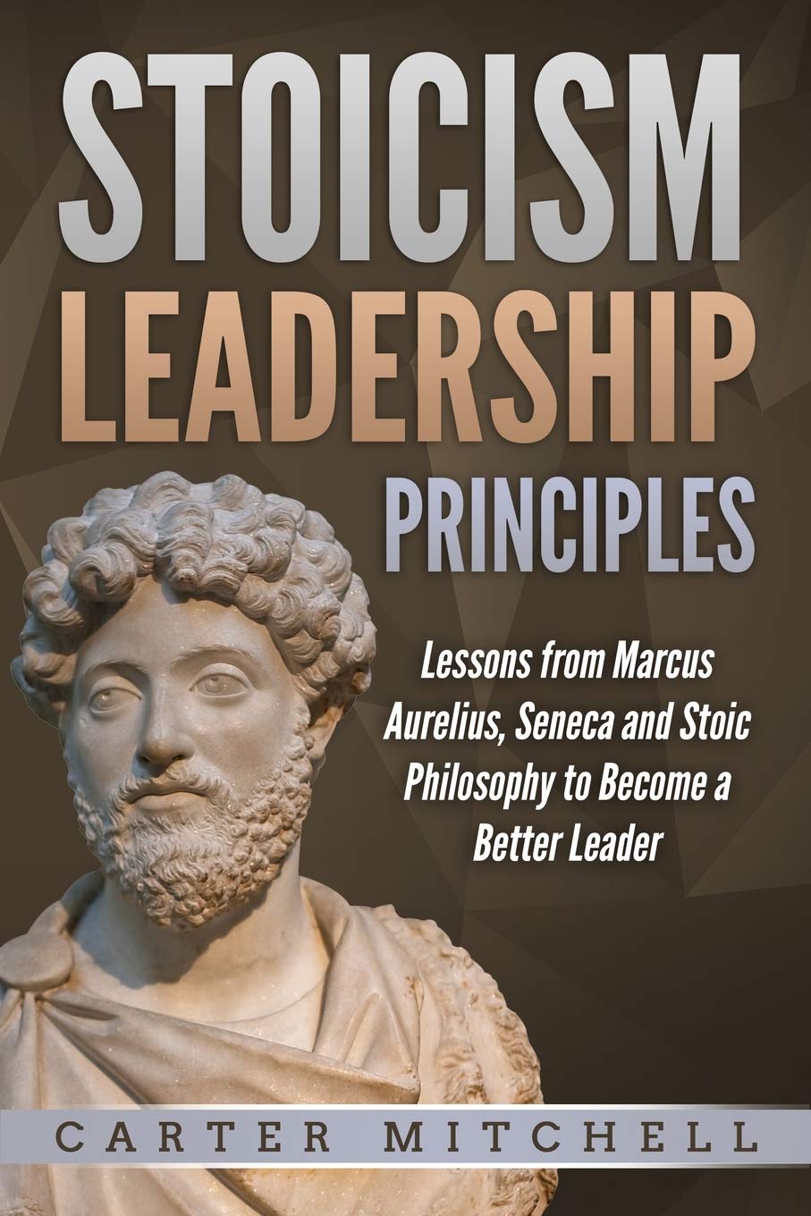 Stoicism Leadership Principles: Lessons from Marcus Aurelius, Seneca and  Stoic Philosophy to Become a Better Leader: Mitchell, Carter:  9781670738936: Amazon.com: Books