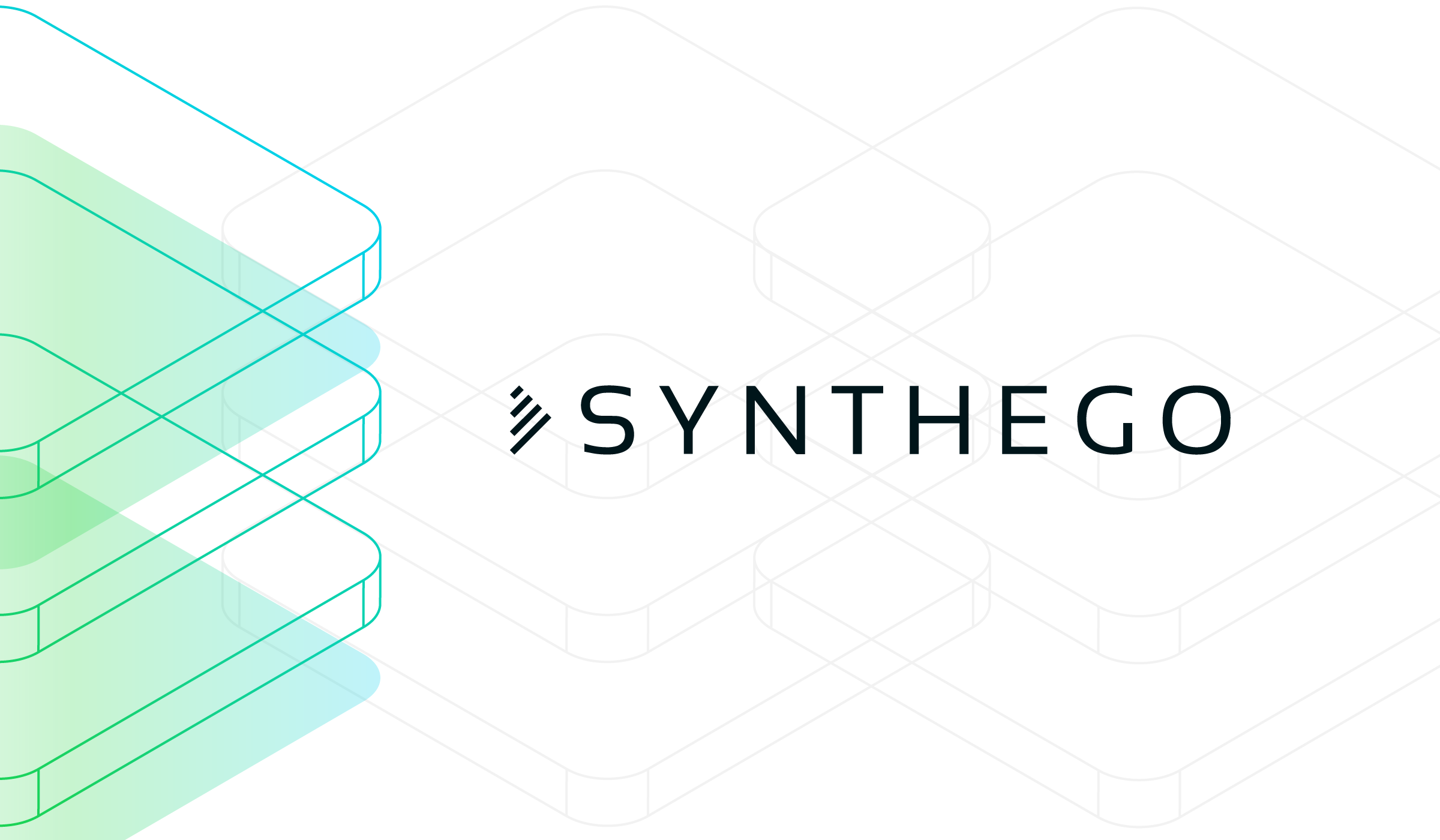 www.synthego.com