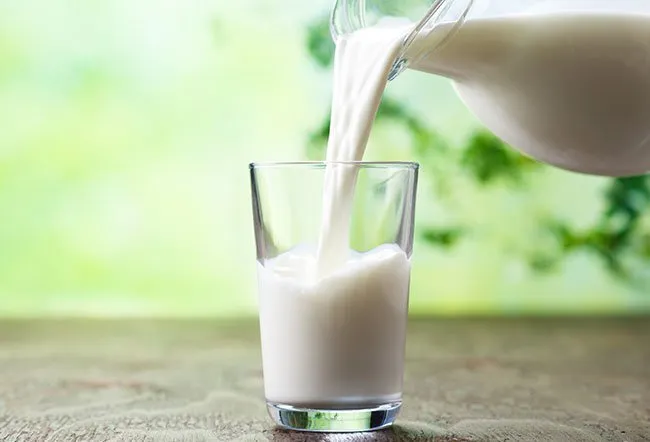 what-is-the-difference-between-a2-milk-and-regular-milk.jpg