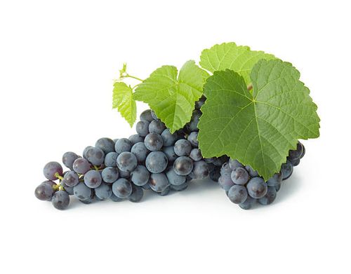 grape cluster  red grape stock pictures, royalty-free photos & images