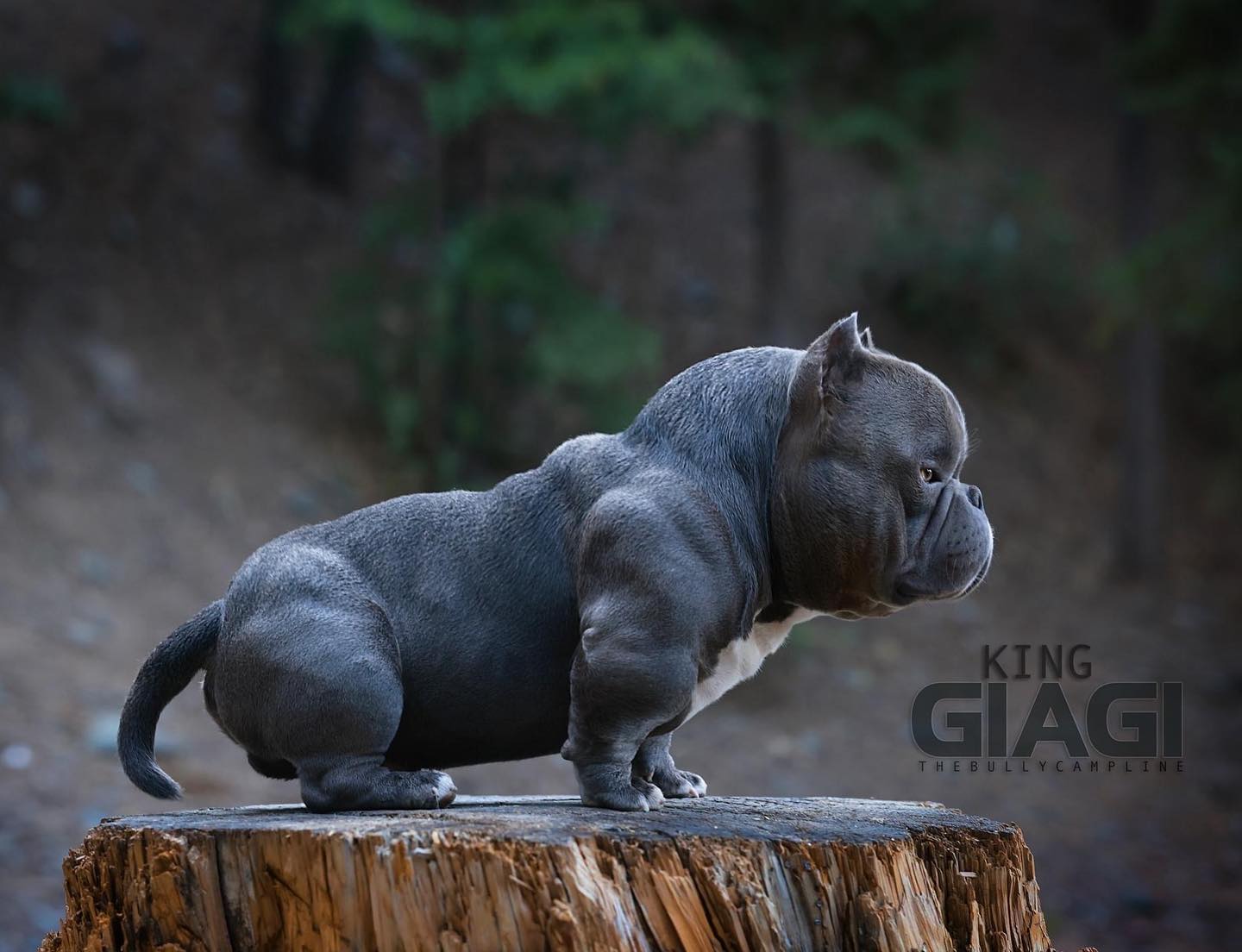 l1JcoSjqZid1GrSDeylVl3TLECuJFEDH9MUuCYdxmnDBr_mQthfUhHKwbJaaJKTDrBO8_6Eye3GS9Ax5ZsR0kyhCr8VluZNtIod4R2yDT1dKqxW1dji2Y6Jdx81jeF_GFGvRykEHRf-VqIqi9jiftvc