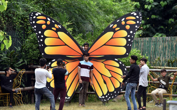 people-visit-delhi-zoo-on-the-first-day-of-its-reopening-on-august-1-picture-id1234384140
