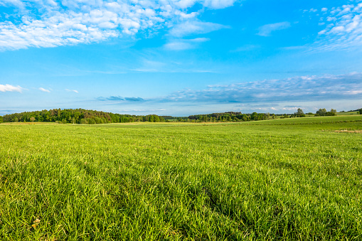 spring-meadow-and-blue-sky-over-grass-field-countryside-landscape-picture-id905420546