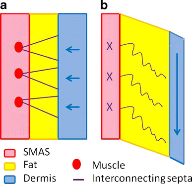 figure 7 figure 7
