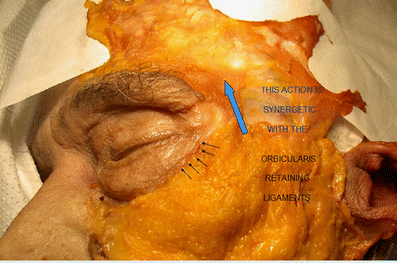 figure 9 figure 9