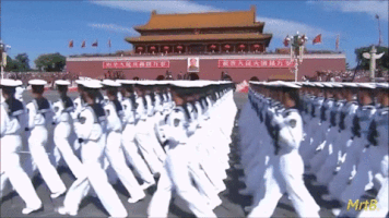 chinese parade GIF