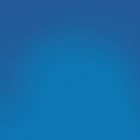 Cookie Monster Shut Up GIF by Sesame Street Cookie Monster Shut Up GIF by Sesame Street