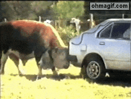 car attacking GIF car attacking GIF
