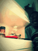 feel fridge GIF feel fridge GIF