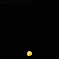 Monkey GIF Monkey GIF