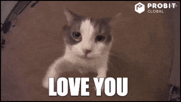 I Love You Kiss GIF by ProBit Global I Love You Kiss GIF by ProBit Global