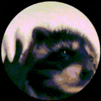 Happy My Song GIF by Justin Happy My Song GIF by Justin