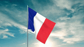 France Bastille GIF France Bastille GIF