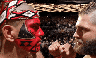 Mixed Martial Arts Sport GIF by UFC Mixed Martial Arts Sport GIF by UFC