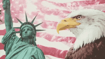 God Bless America GIF by MOODMAN God Bless America GIF by MOODMAN