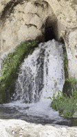 Water Yes GIF by Robert E Blackmon Water Yes GIF by Robert E Blackmon