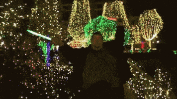 didnt read GIF didnt read GIF