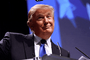 Donald Trump Deal With It GIF Donald Trump Deal With It GIF