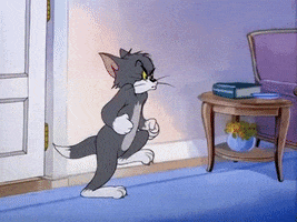 tom and jerry wow GIF